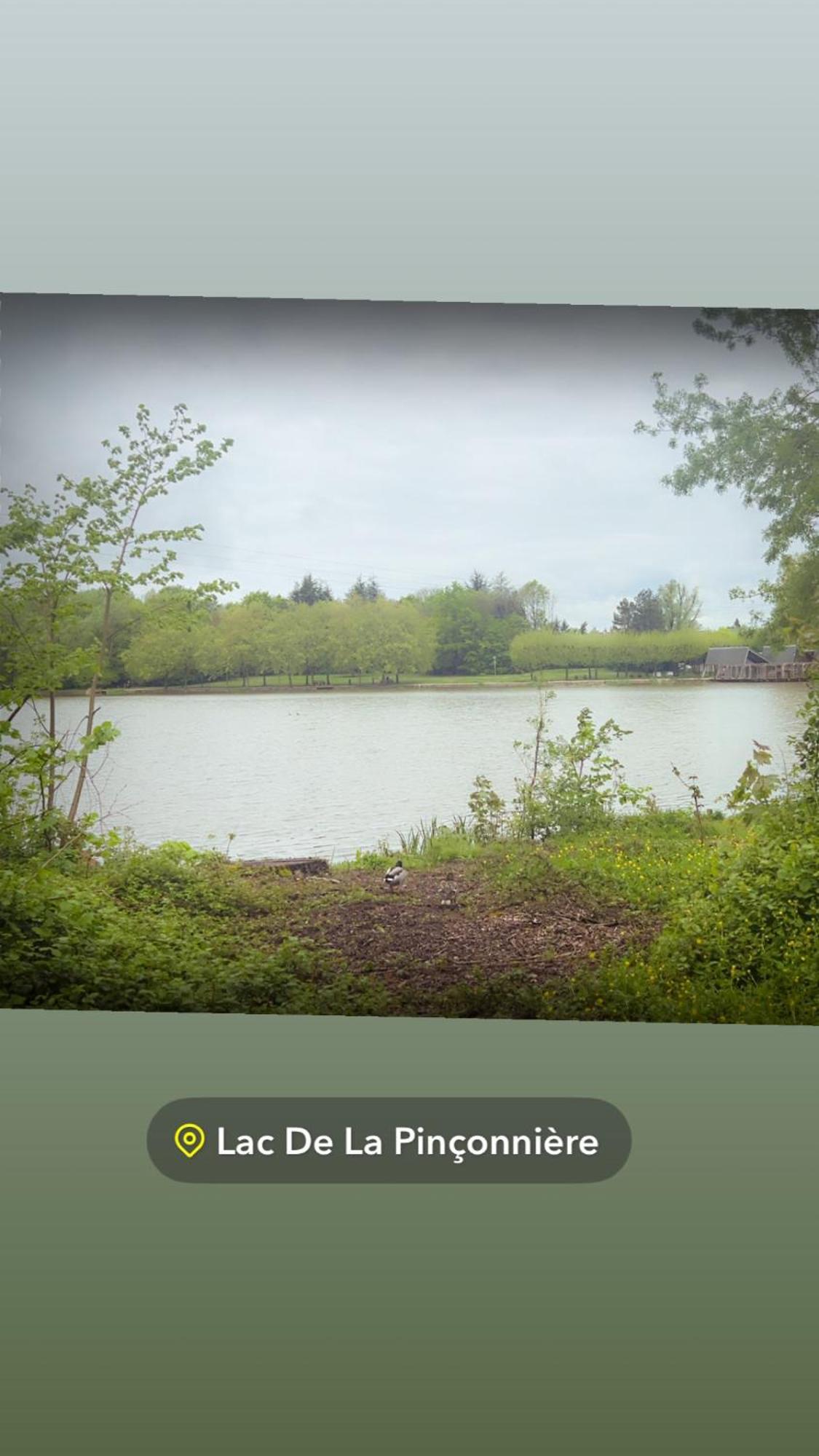 Quiniere - Entre Lac Et Foret - Hebergement Independant Avec Espace Kitchenette Blois Dış mekan fotoğraf